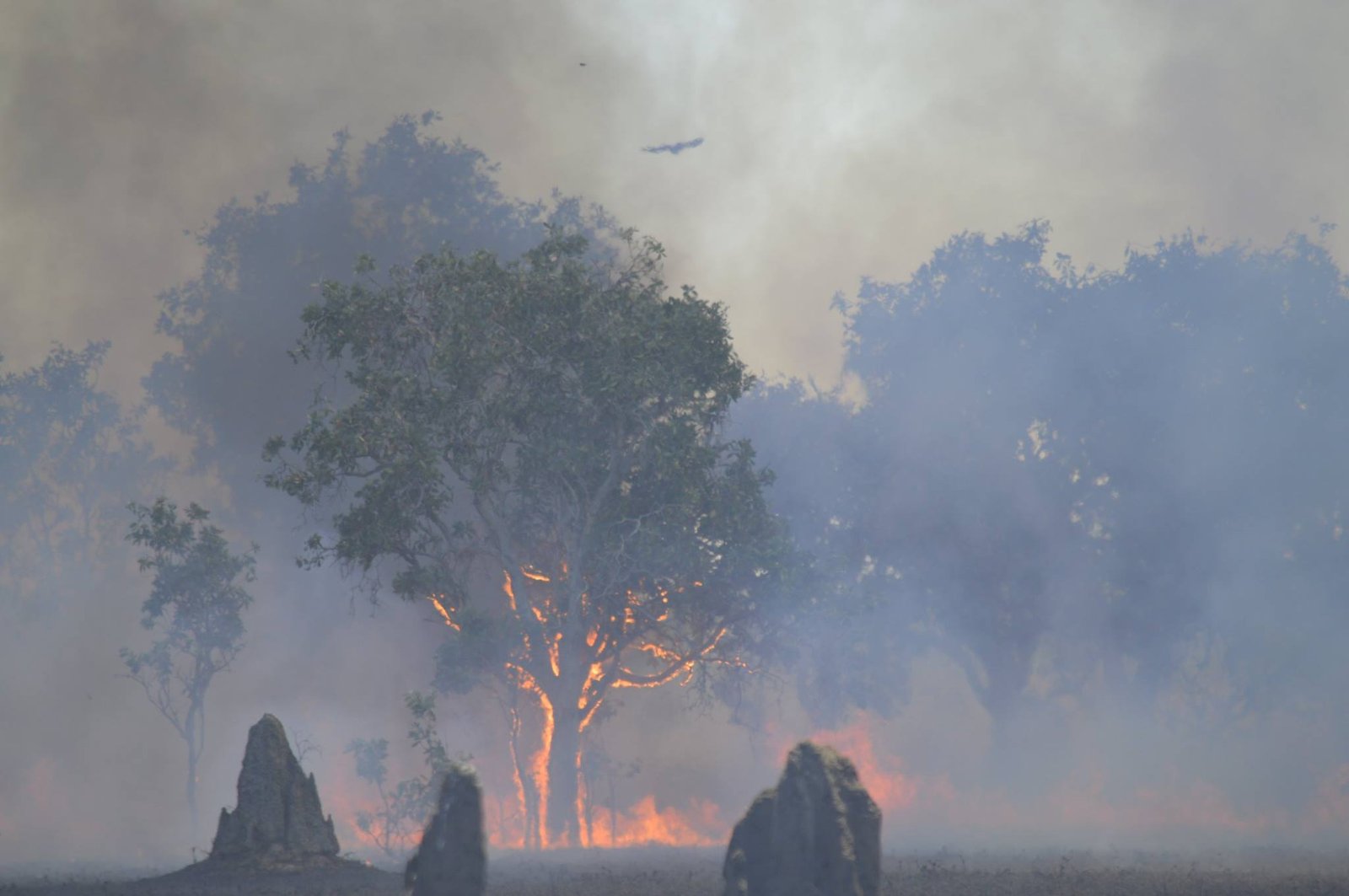 462362187_2359235654419931_5391198054446757312_n